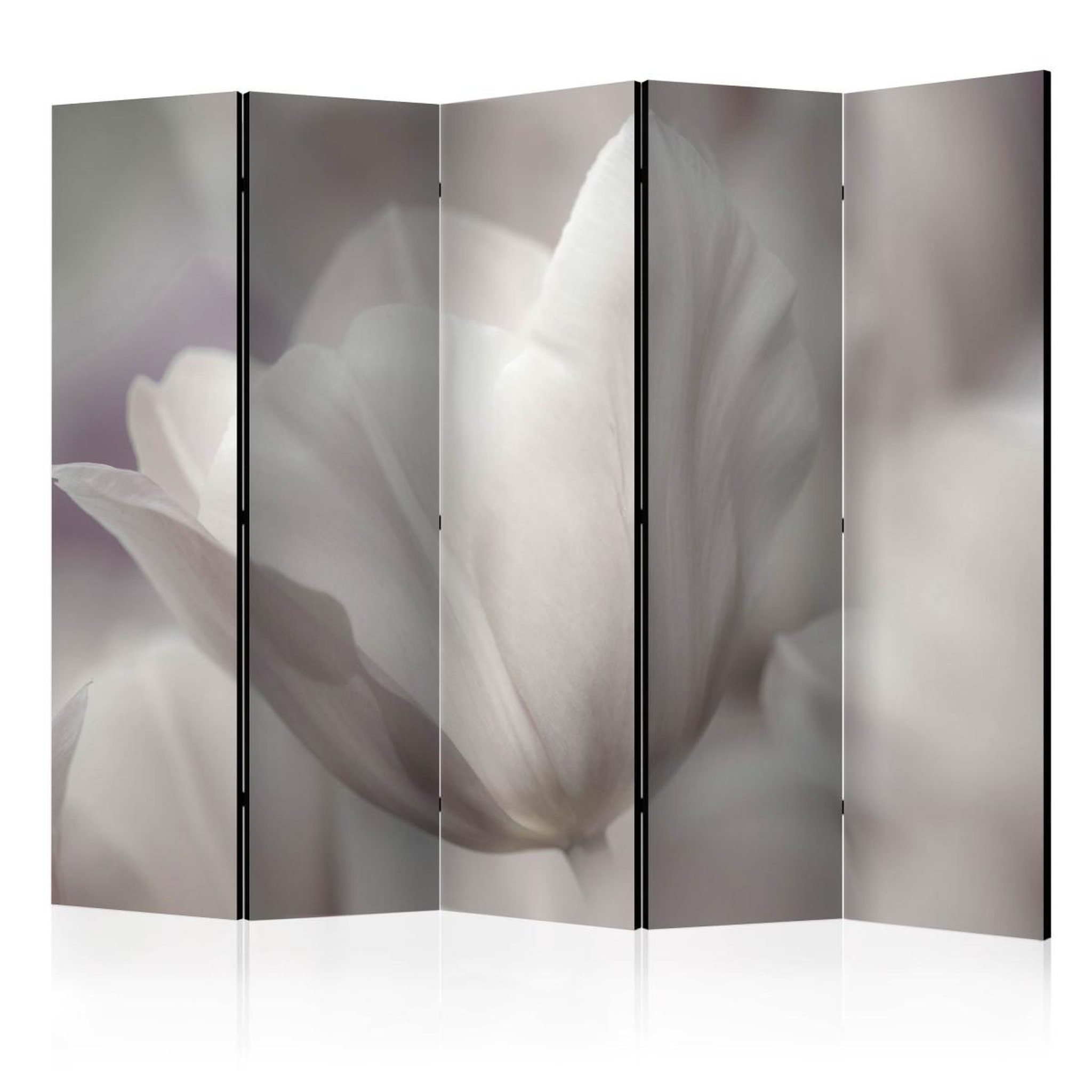 Paris Prix Paravent 5 volets  tulip black & white photo  172x225cm
