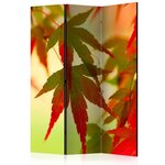 Paris Prix Paravent 3 Volets  Colourful Leaves  135x172cm