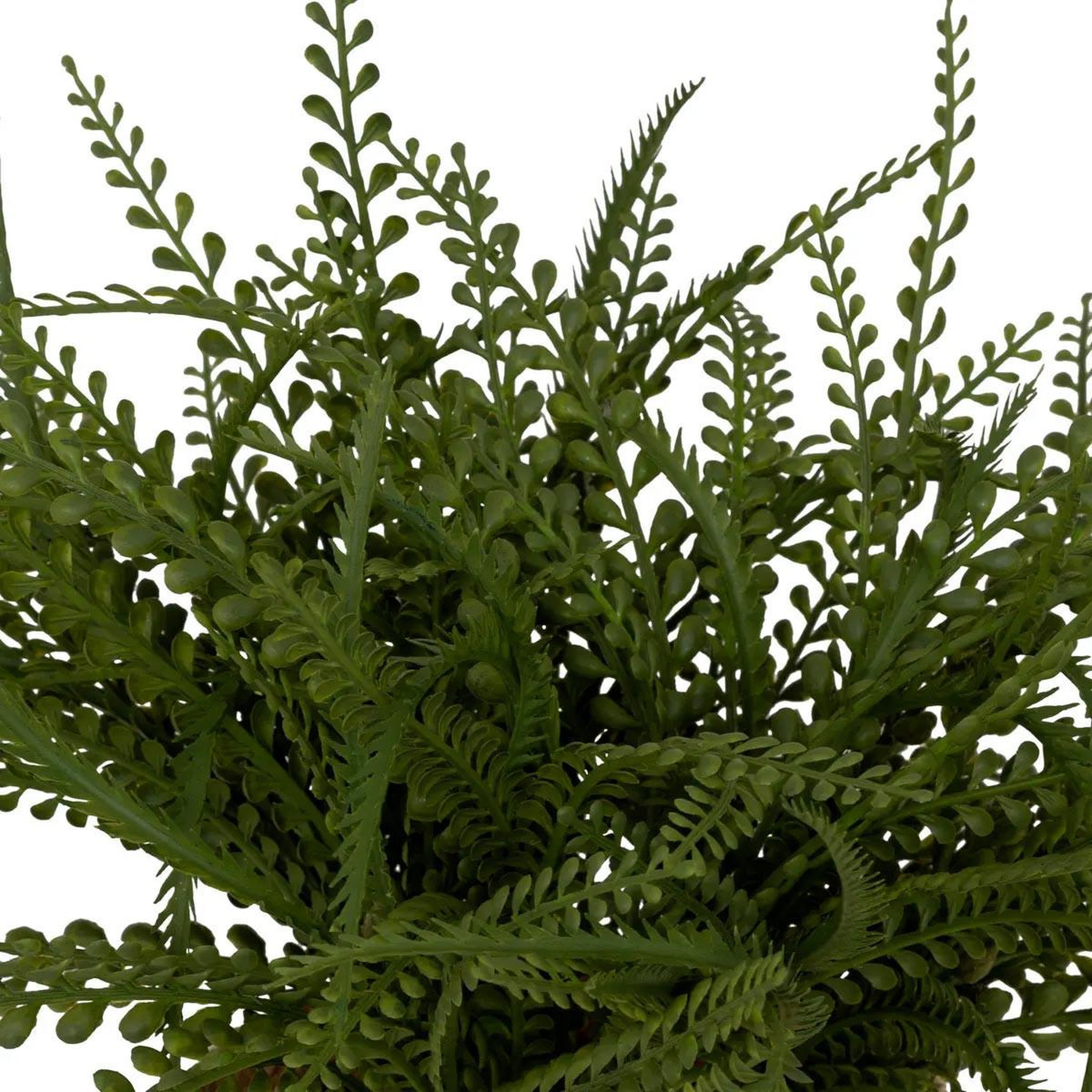Voir la diapositive 2 : ATMOSPHERA Fougère artificielle en pot  clemy  30cm vert