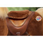 Voir la diapositive 2 : Ponycycle Cheval Porteur Enfant Modele Y marron-blond