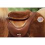 Voir la diapositive 2 : Ponycycle Cheval Porteur Enfant Modele Y marron-blond