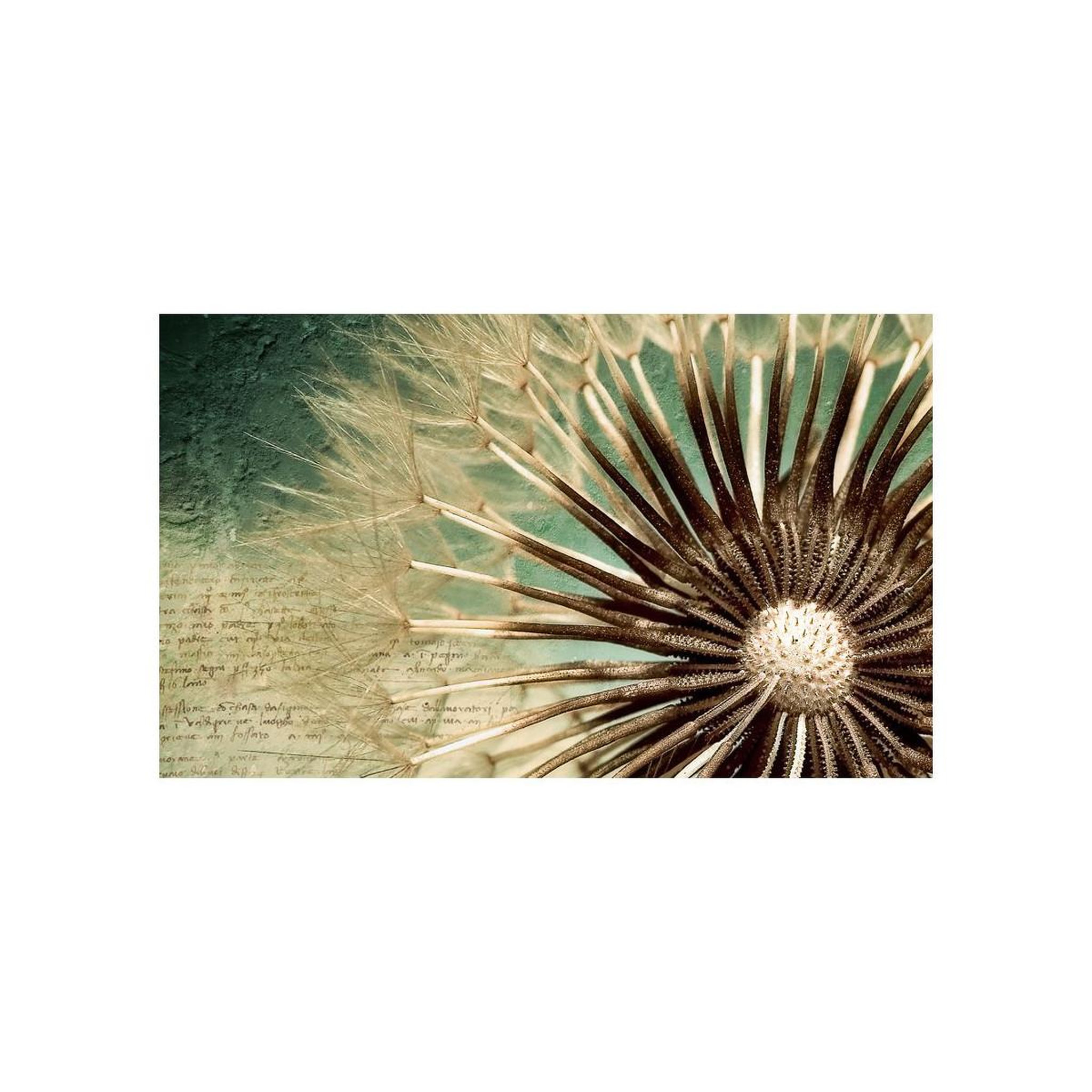 Voir la diapositive 2 : Paris Prix Papier peint  story of the summer  270x450cm