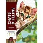 CHATS & FELINS. COLORIEZ LES CHIFFRES ET DECOUVREZ L'IMAGE !, Sivignon Capucine