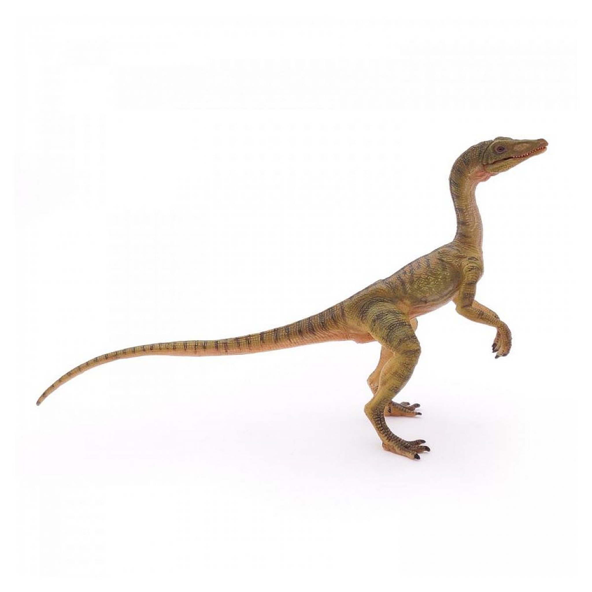 Voir la diapositive 4 : Papo 55072 Figurine Compsognathus