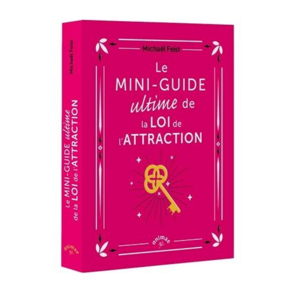 LE MINI-GUIDE ULTIME LOI DE L'ATTRACTION, Feist Michael