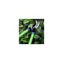 Voir la diapositive 2 : SUAN Coupe branche lame franche - Suan - En acier carbone - Dimensions : 62 x 21,5 cm