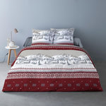 Dourev Housse de couette 240x220 + 2 taies flanelle 100% coton