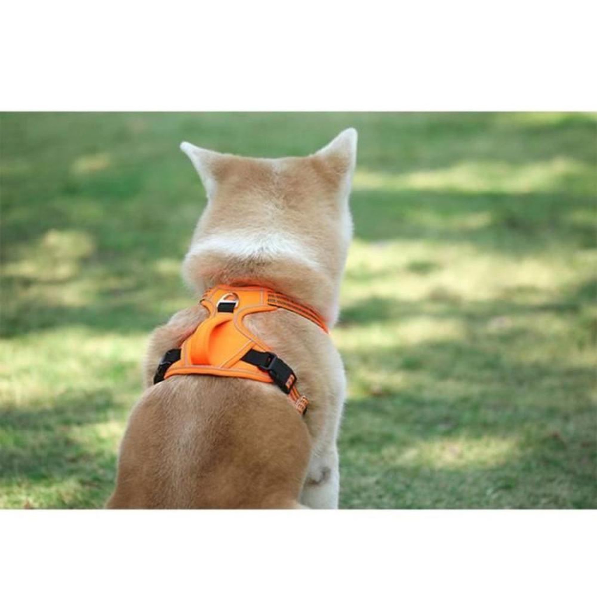 Voir la diapositive 3 : Harnais anti-traction pour chien taille XL orange avec poigne de controle arriere et elements reflechissants