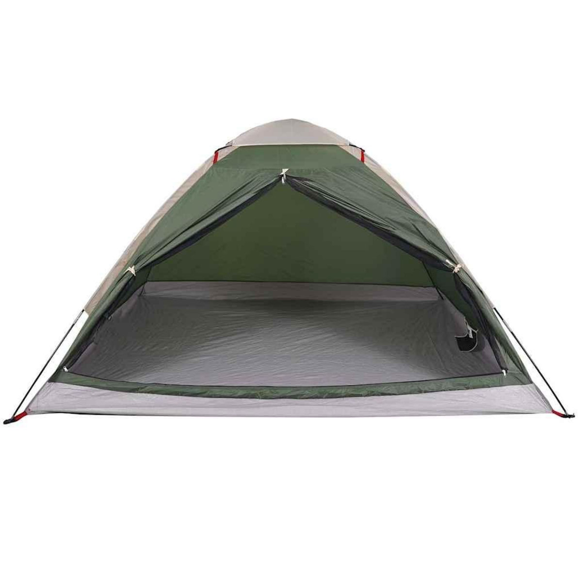 VIDAXL Tente de camping a dome 4 personnes vert impermeable