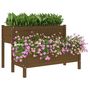 Voir la diapositive 4 : VIDAXL Jardiniere Marron miel 110x84x75 cm Bois massif de pin