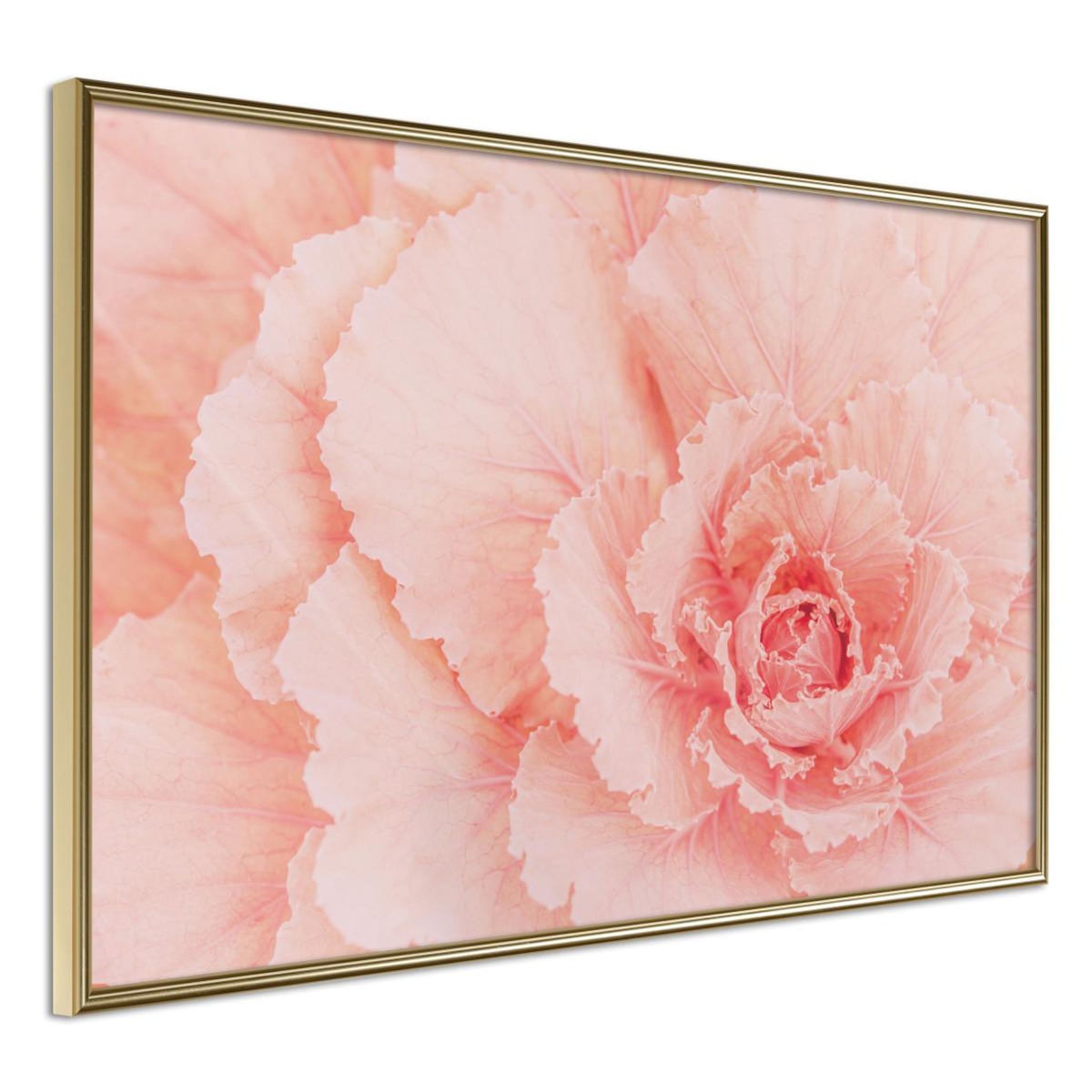 Paris Prix Affiche Murale Encadrée  Delicate Petals