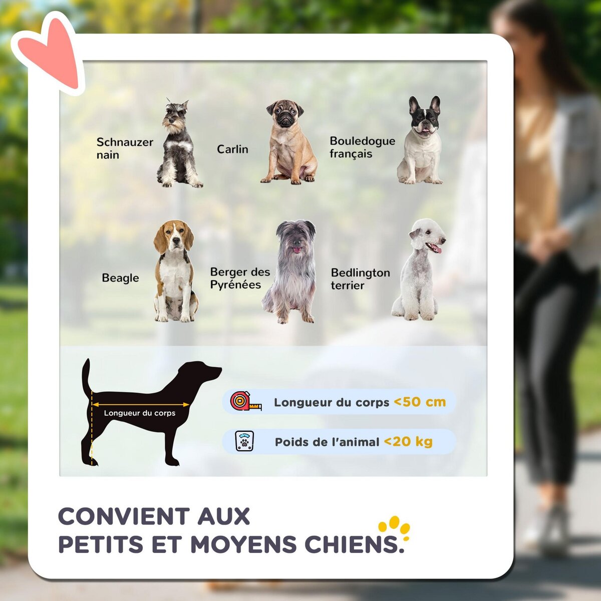 PAWHUT Poussette pliable pour chien chat 4 roues 3 pochettes rangement coussin acier oxford gris