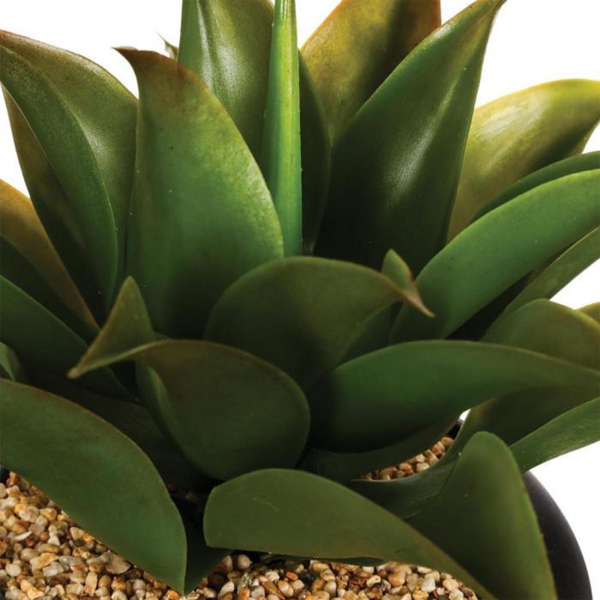Paris Prix Plante Artificielle  Aloe Vera  31cm Vert