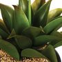 Voir la diapositive 2 : Paris Prix Plante Artificielle  Aloe Vera  31cm Vert