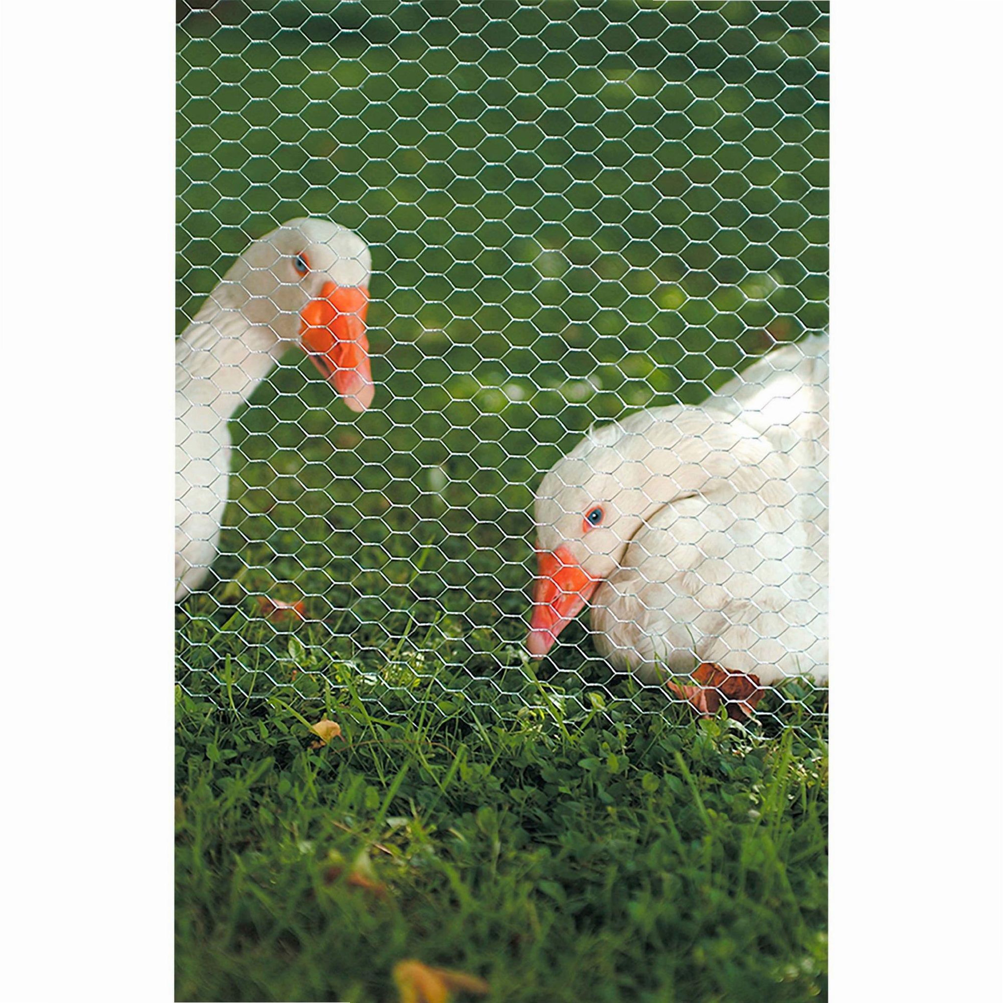 Voir la diapositive 3 : Windhager Grillage à poule 1 x 10 m hexagonal galva