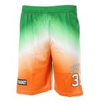 SPORTZONE Boston Short de basket Vert/ Homme Sport Zone. Coloris disponibles : Orange