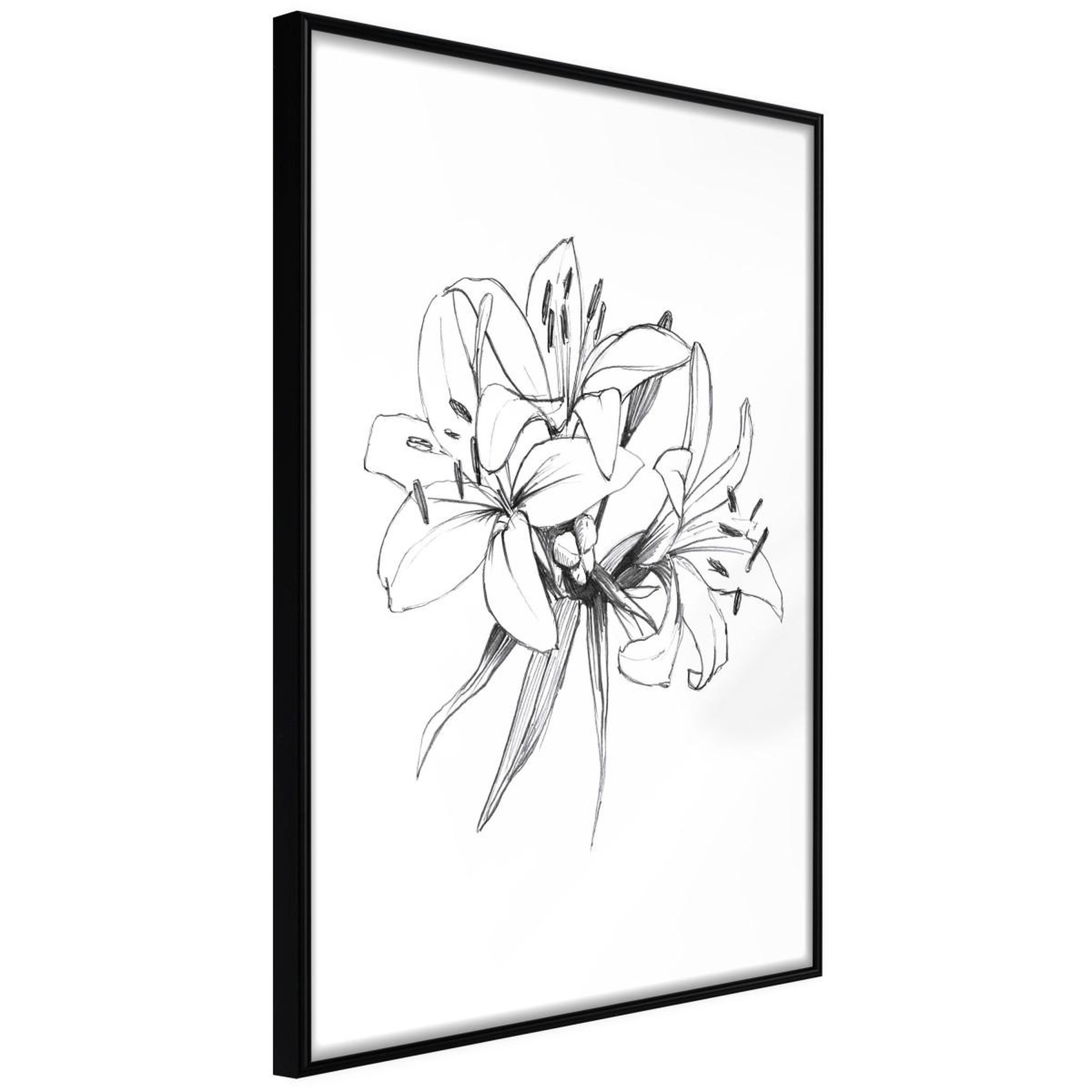 Paris Prix Affiche murale encadrée  sketch of lillies. Coloris disponibles : Jaune, Noir
