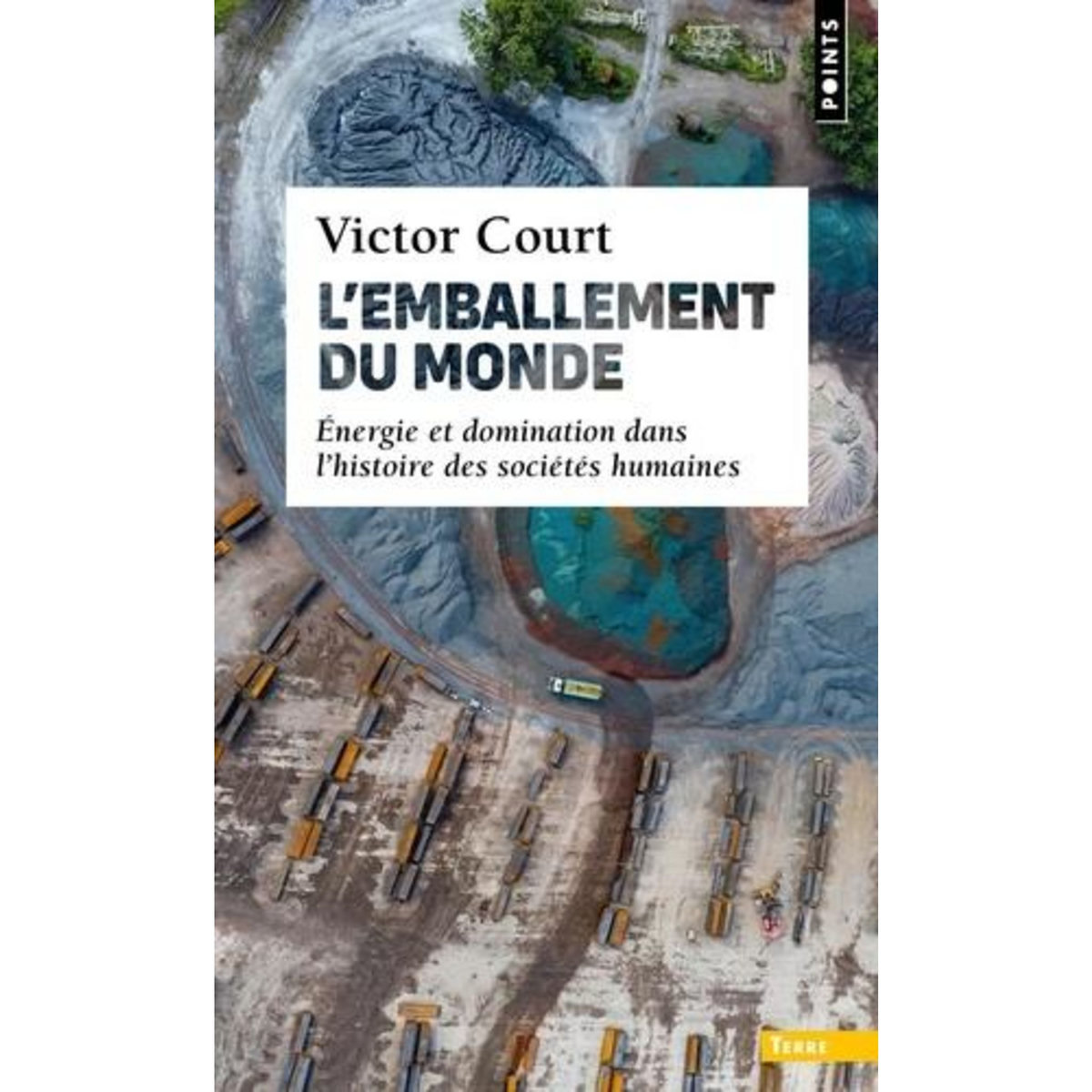 L'EMBALLEMENT DU MONDE. ENERGIE ET DOMINATION DANS L'HISTOIRE DES SOCIETES HUMAINES, Court Victor