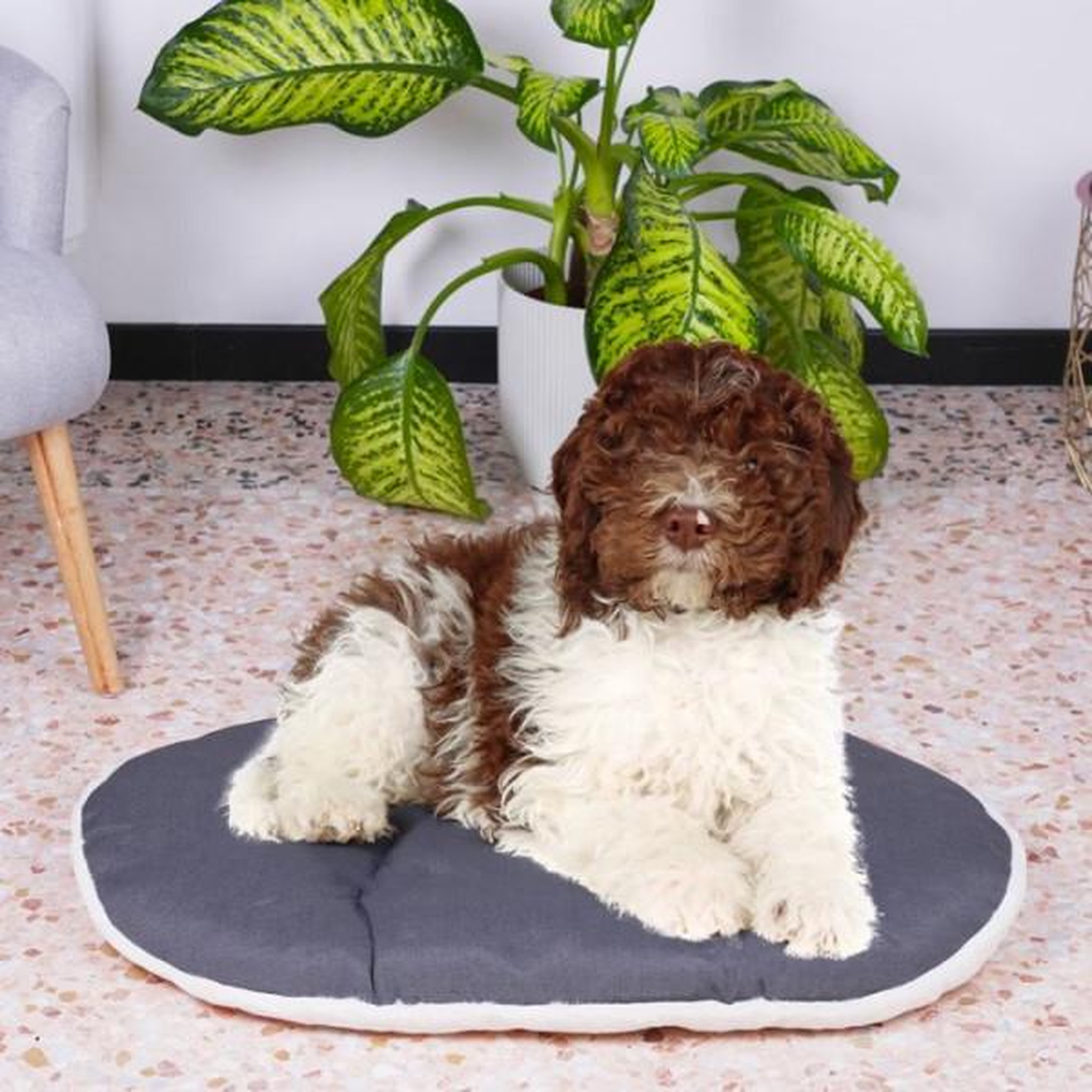 Voir la diapositive 2 : Ferplast Coussin - FERPLAST - RELAX 78/8 - 78 x 50 cm - Tissu et fourrure