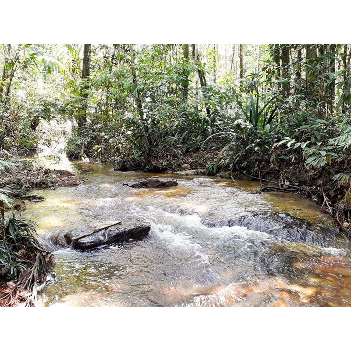 Smartbox Voyage tout compris en Amazonie : 4 jours en lodge avec excursions dans la jungle - Coffret Cadeau Séjour