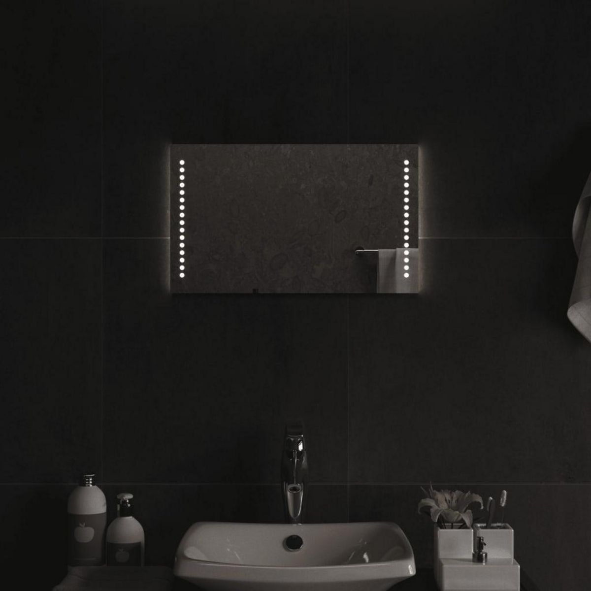 VIDAXL Miroir de salle de bain a LED 30x50 cm