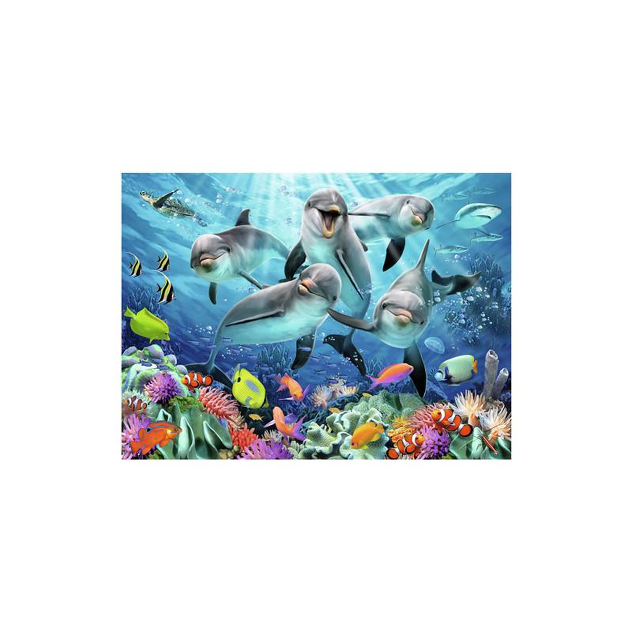 Voir la diapositive 2 : RAVENSBURGER Ravensburger - Jigsaw puzzle Dolphins in the Coral Reef, 500 pcs. 120002000