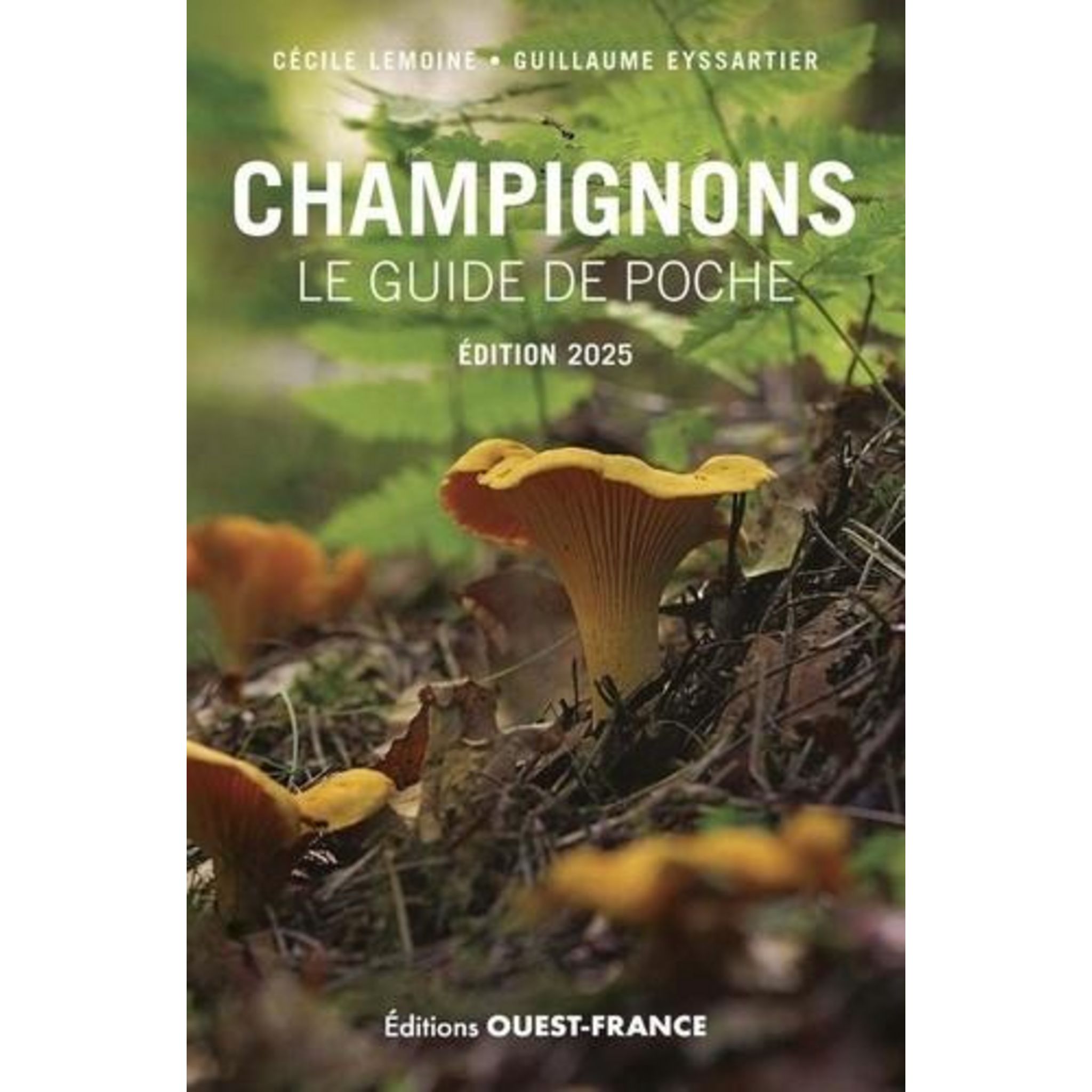 Le Carnet Du Supporter - Guide De Poche Saison Football 2016-2017