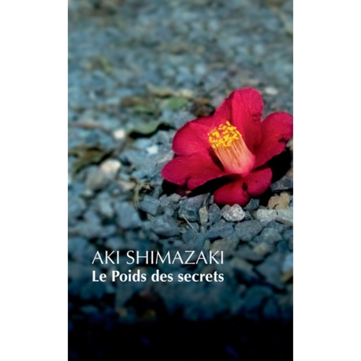 LE POIDS DES SECRETS. COFFRET EN 5 TOMES TSUBAKI ;