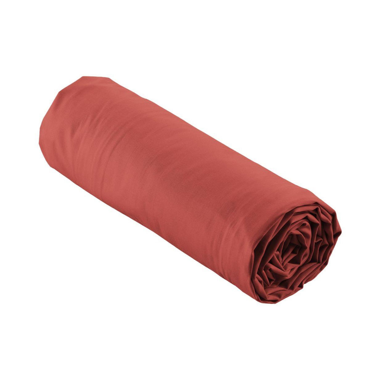 Paris Prix Drap Housse  Percaline  160x200cm Terracotta
