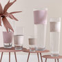 Voir la diapositive 3 : Paris Prix Vase Déco en Verre  Delph  45cm Transparent & Rose