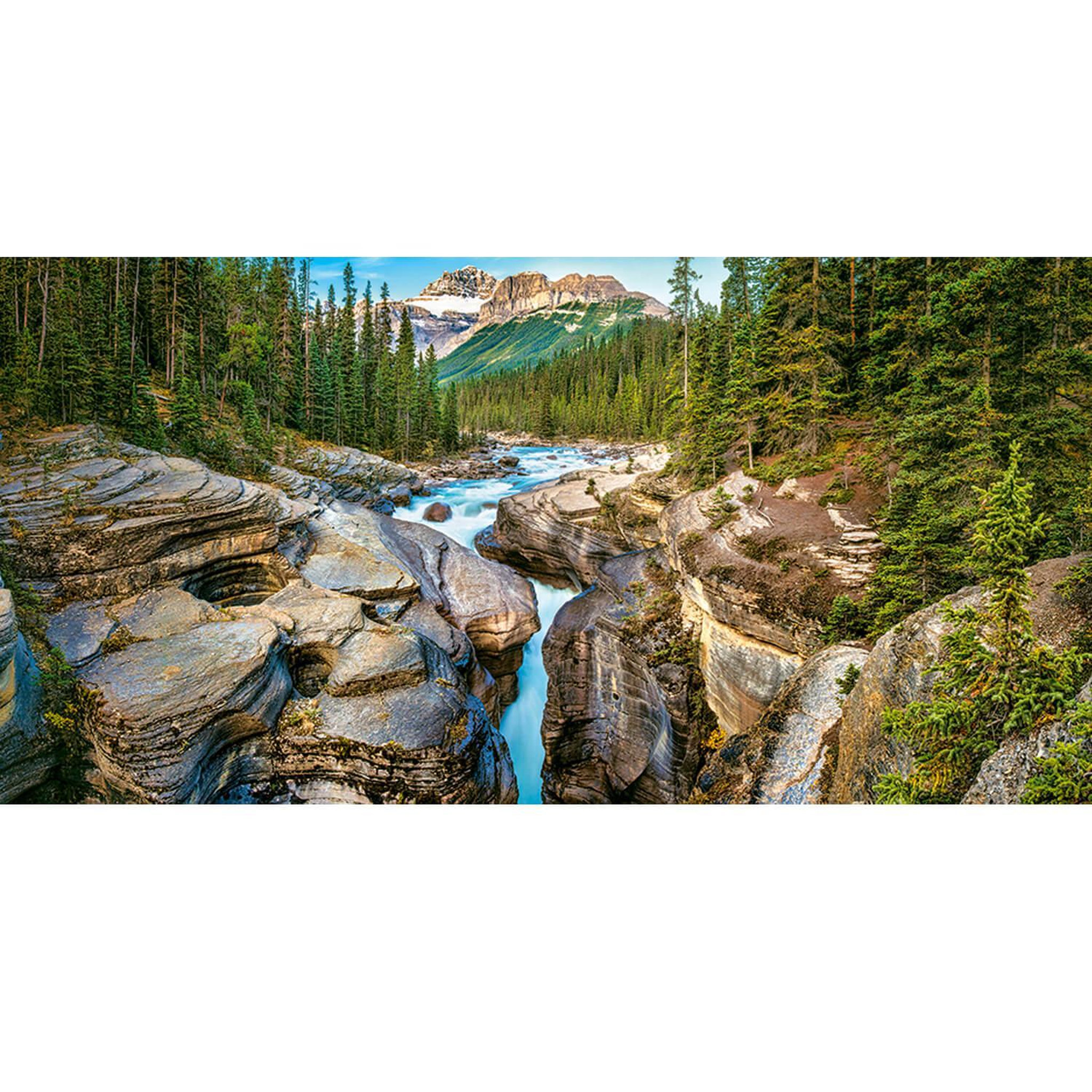 Voir la diapositive 1 : Castorland Puzzle 4000 pièces : Canyon Mistaya, parc national Banff, Canada
