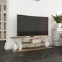 TOILINUX Meuble TV en mélaminé de style Industriel - L.120cm - Marron