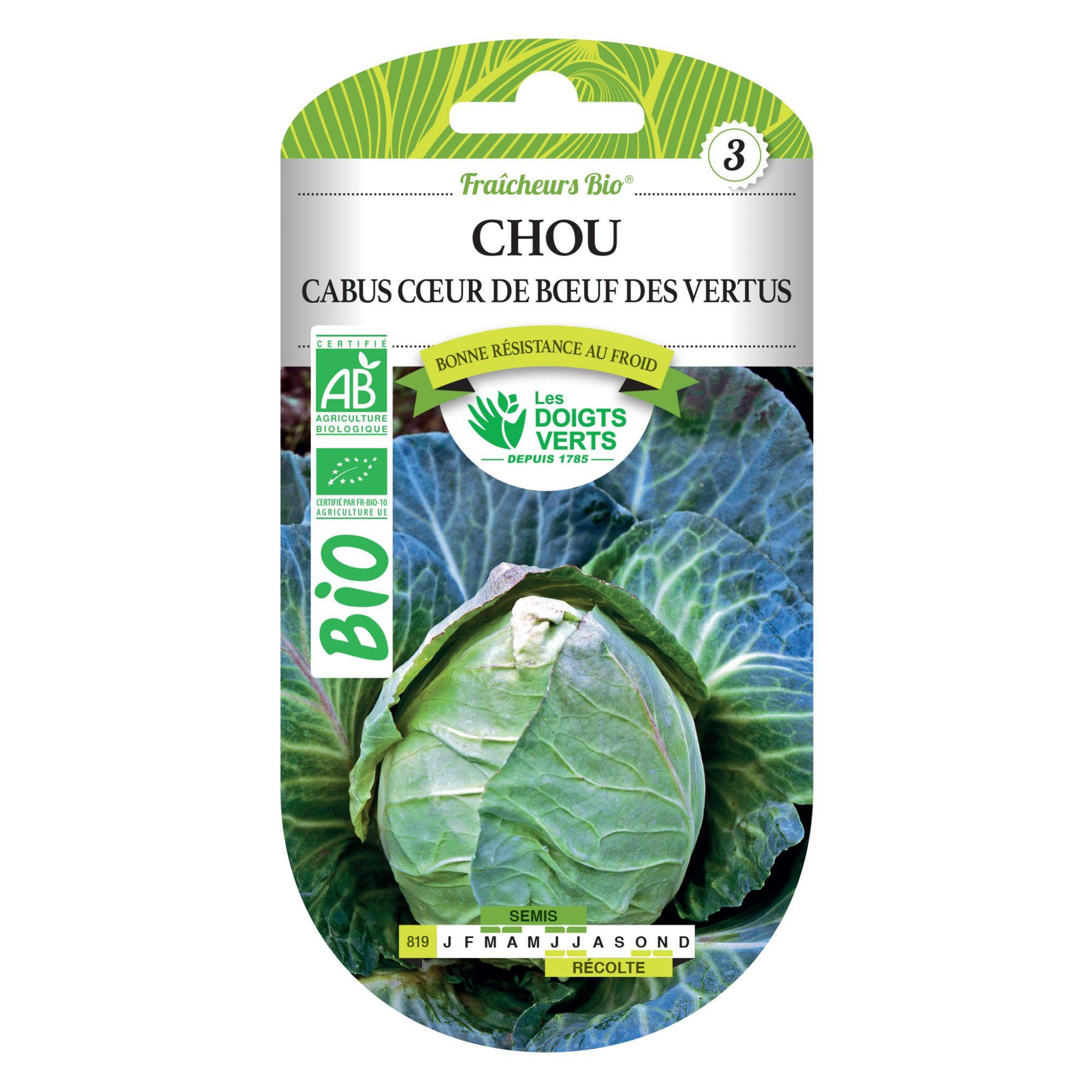 Voir la diapositive 2 : LES DOIGTS VERTS Graines Chou cabus coeur boeuf des vertus BIO Les Doigts Verts