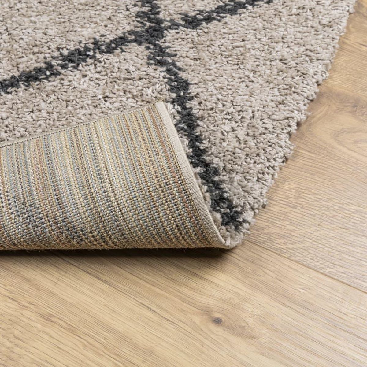 VIDAXL Tapis shaggy a poils longs moderne beige anthracite 80x150 cm