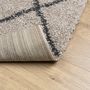Voir la diapositive 5 : VIDAXL Tapis shaggy a poils longs moderne beige anthracite 80x150 cm