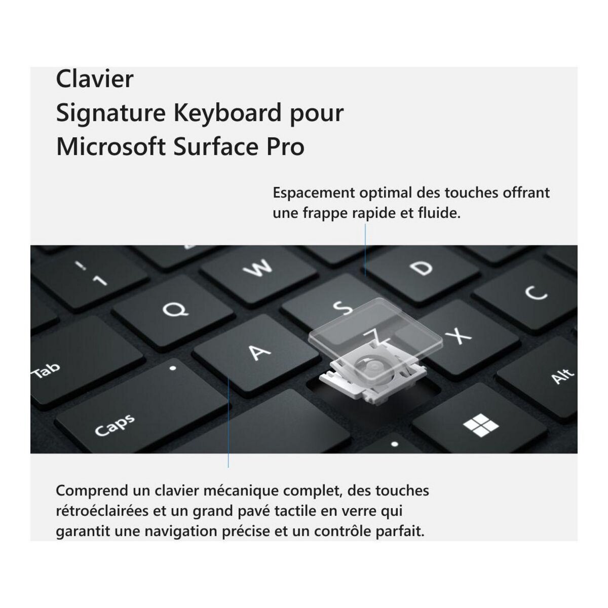 MICROSOFT Clavier Signature - Forest avec stylet