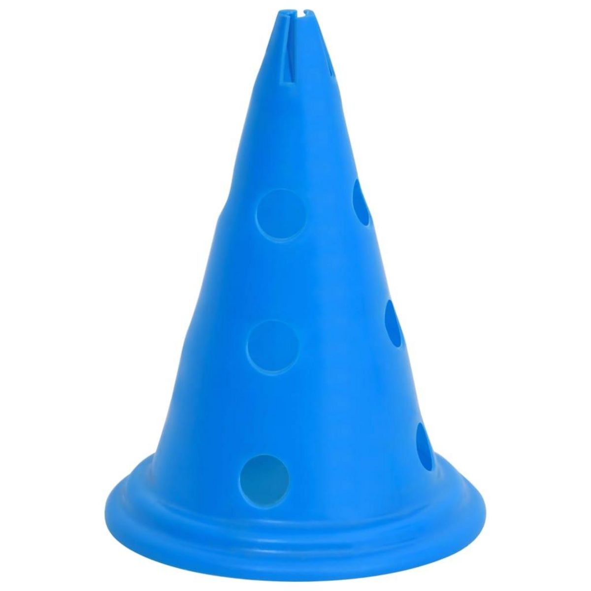 VIDAXL Ensemble d'obstacles d'activite pour chien Bleu et jaune