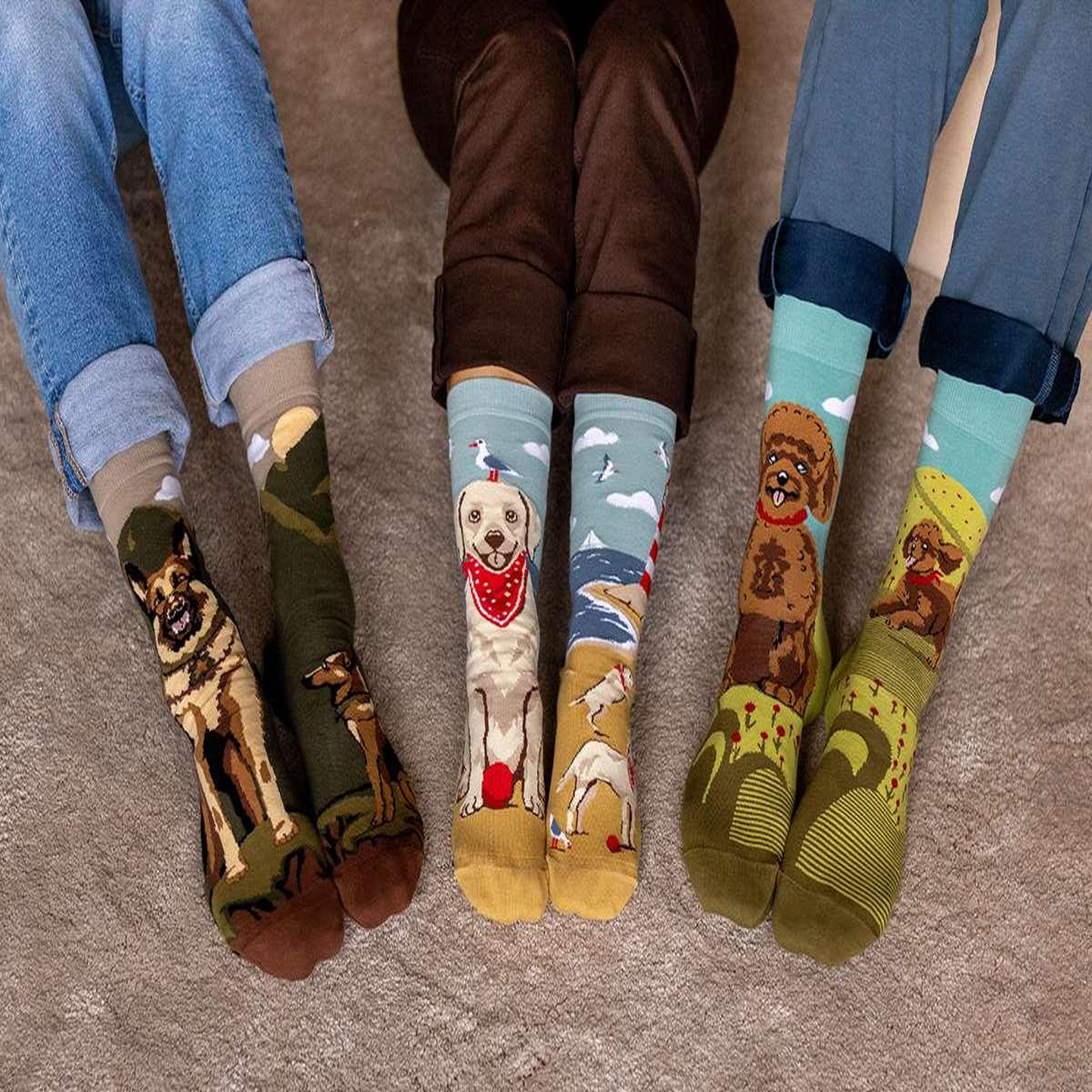 Voir la diapositive 3 : PIRIN HILL Coffret de 4 paires de chaussettes arty chiens
