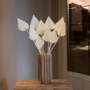Voir la diapositive 4 : PLANT IN A BOX Fleurs séchées - Set de 10 - Bouquet 'Palmspear Bleached White'