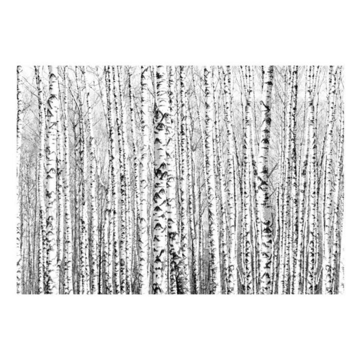 Paris Prix Papier Peint  Birch Forest