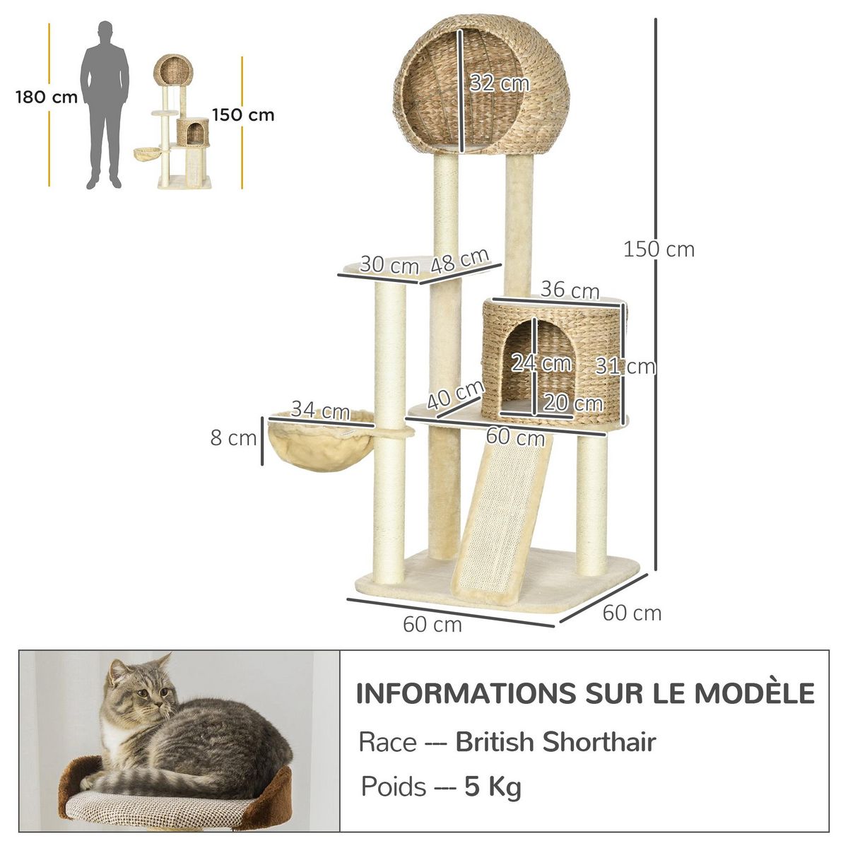 PAWHUT Arbre à chat style cosy chic griffoirs grattoir sisal 2 grandes niches plateforme hamac peluche courte beige jacinthe d'eau