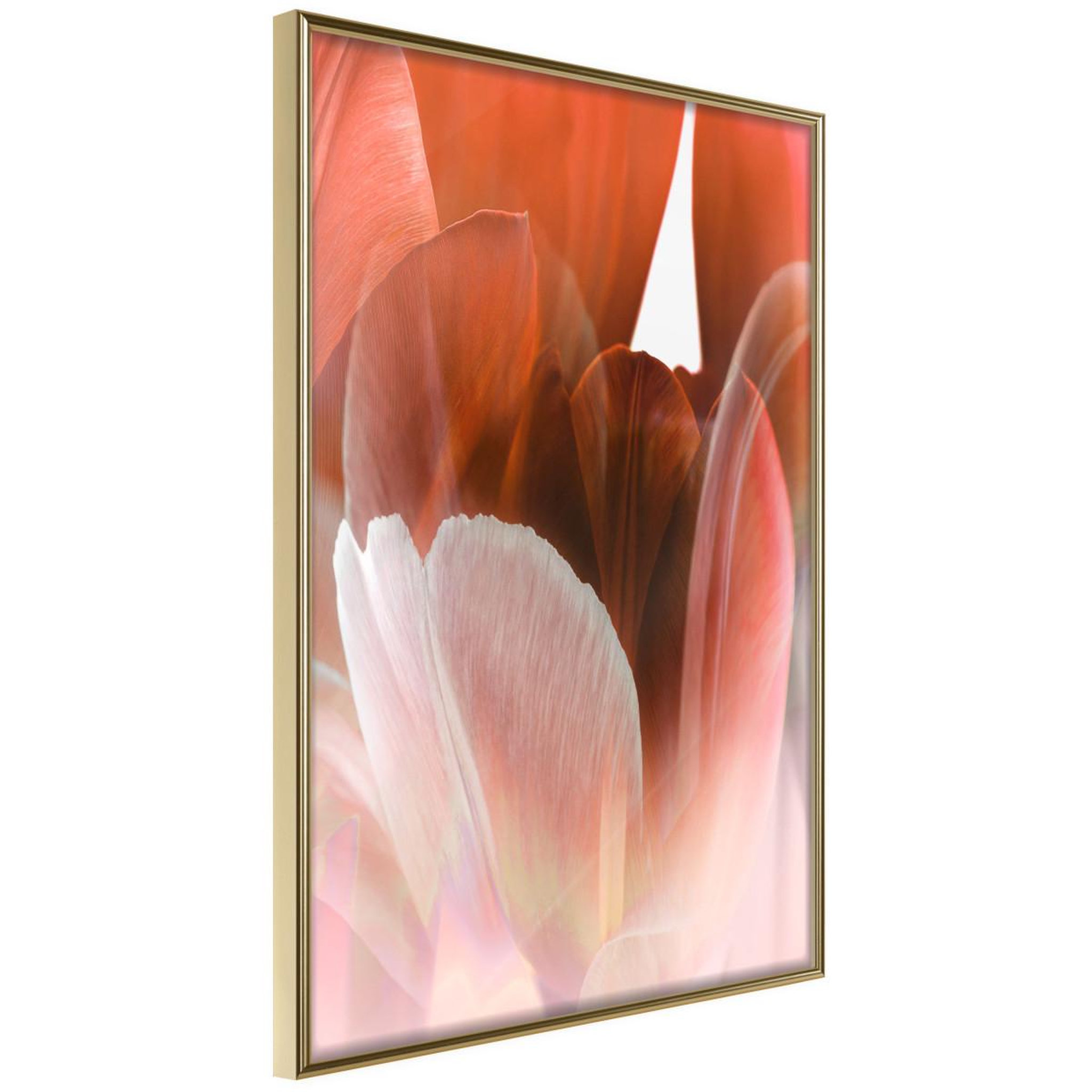 Voir la diapositive 1 : Paris Prix Affiche murale encadrée  tulip petals