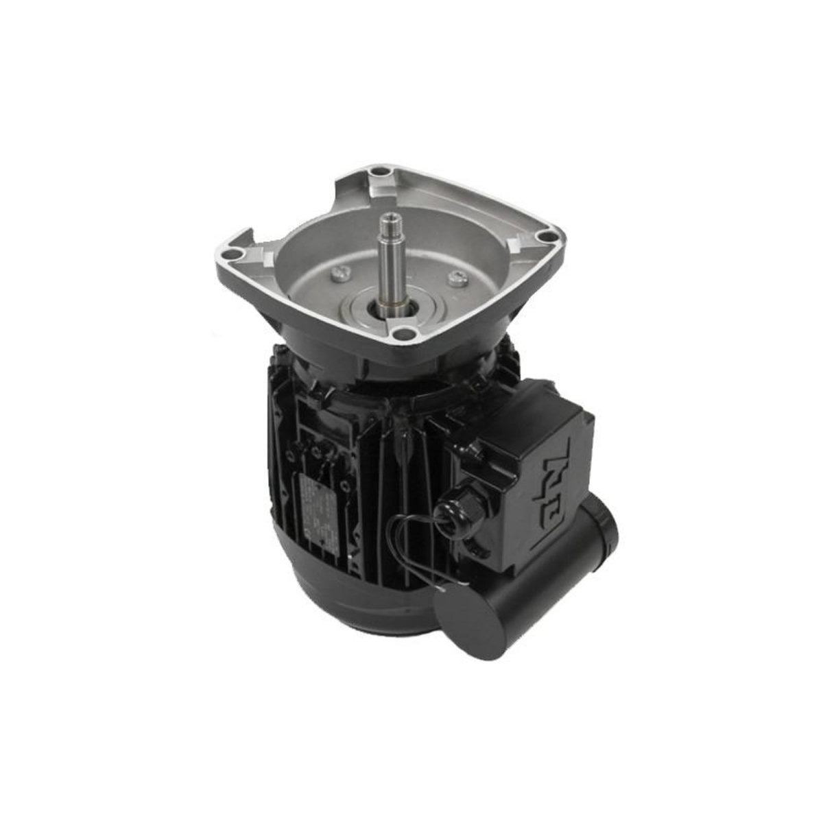 Pentair Moteur pour pompes La Sta-Rite 1 CV Mono - Pentair