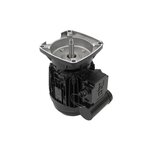 Pentair Moteur pour pompes La Sta-Rite 1 CV Mono - Pentair