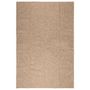 Voir la diapositive 3 : VIDAXL Tapis ZIZUR 200x290 cm aspect de jute interieur et exterieur