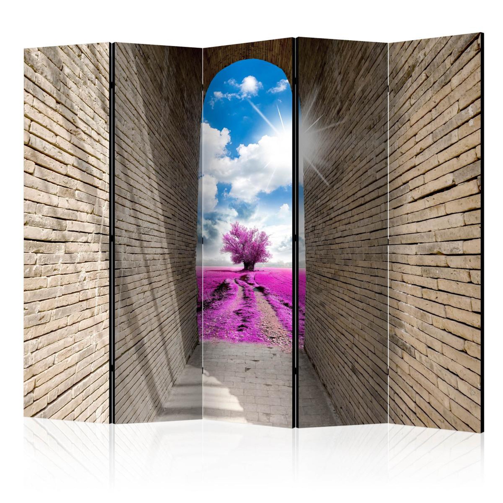 Paris Prix Paravent 5 volets  magical passage  172x225cm