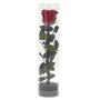 Paris Prix Fleur Artificielle  Rose sur Tige  30cm Vert & Rouge