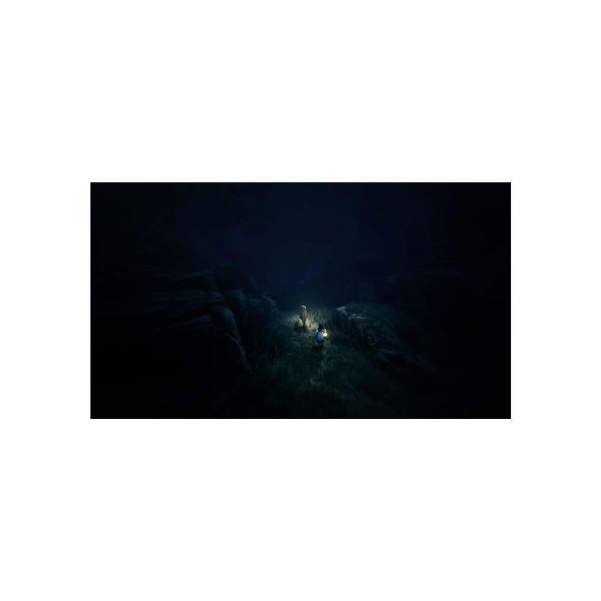 Just for games Reanimal - Deluxe Edition - Jeu PS5