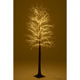 Voir la diapositive 6 : Paris Prix Arbre 3000 LED  Automn  210cm Marron