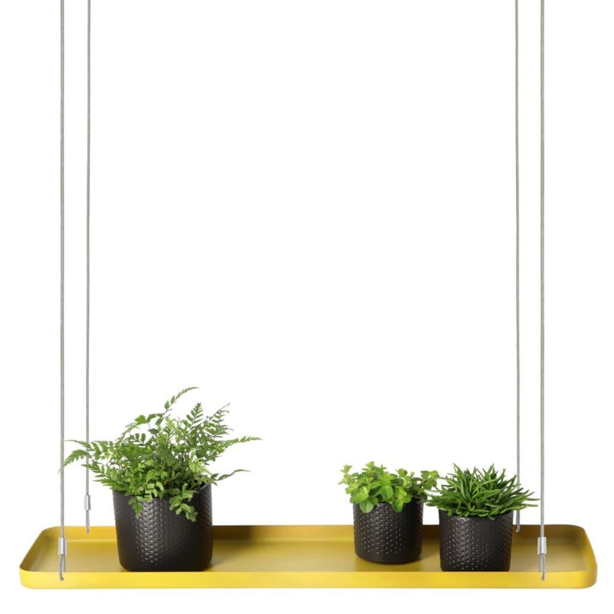 ESSCHERT DESIGN Esschert Design Plateau suspendu pour plantes rectangulaire Dore L